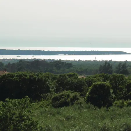 Amazing In With Wifi شقة *